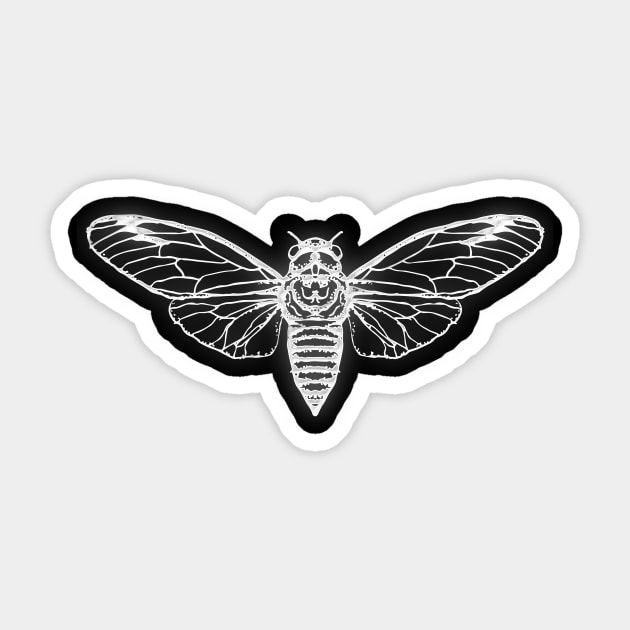 Cicada Sticker by DragonDream